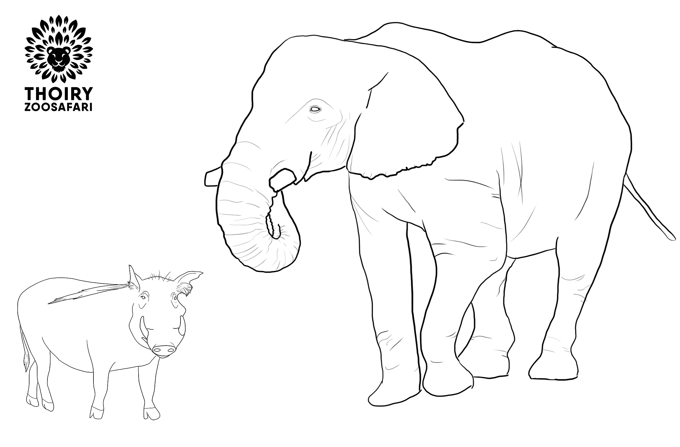 coloriage elephant et phacohere