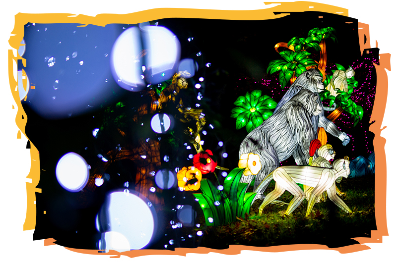thoiry lumieres sauvages