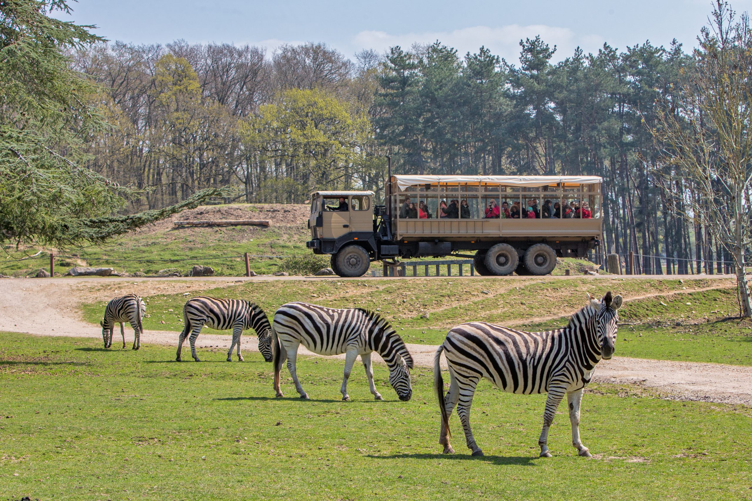 safari thoiry navette