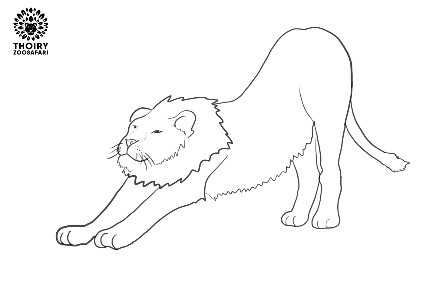 coloriage lion ado