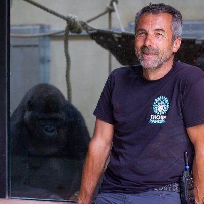 soigneur primate