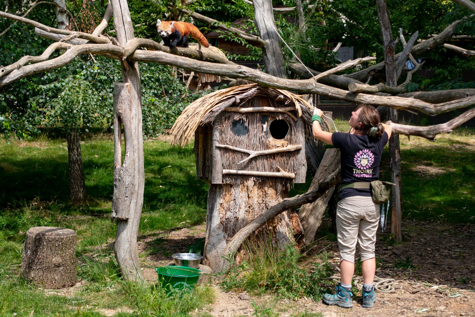 Accueil Thoiry Zoo Safari