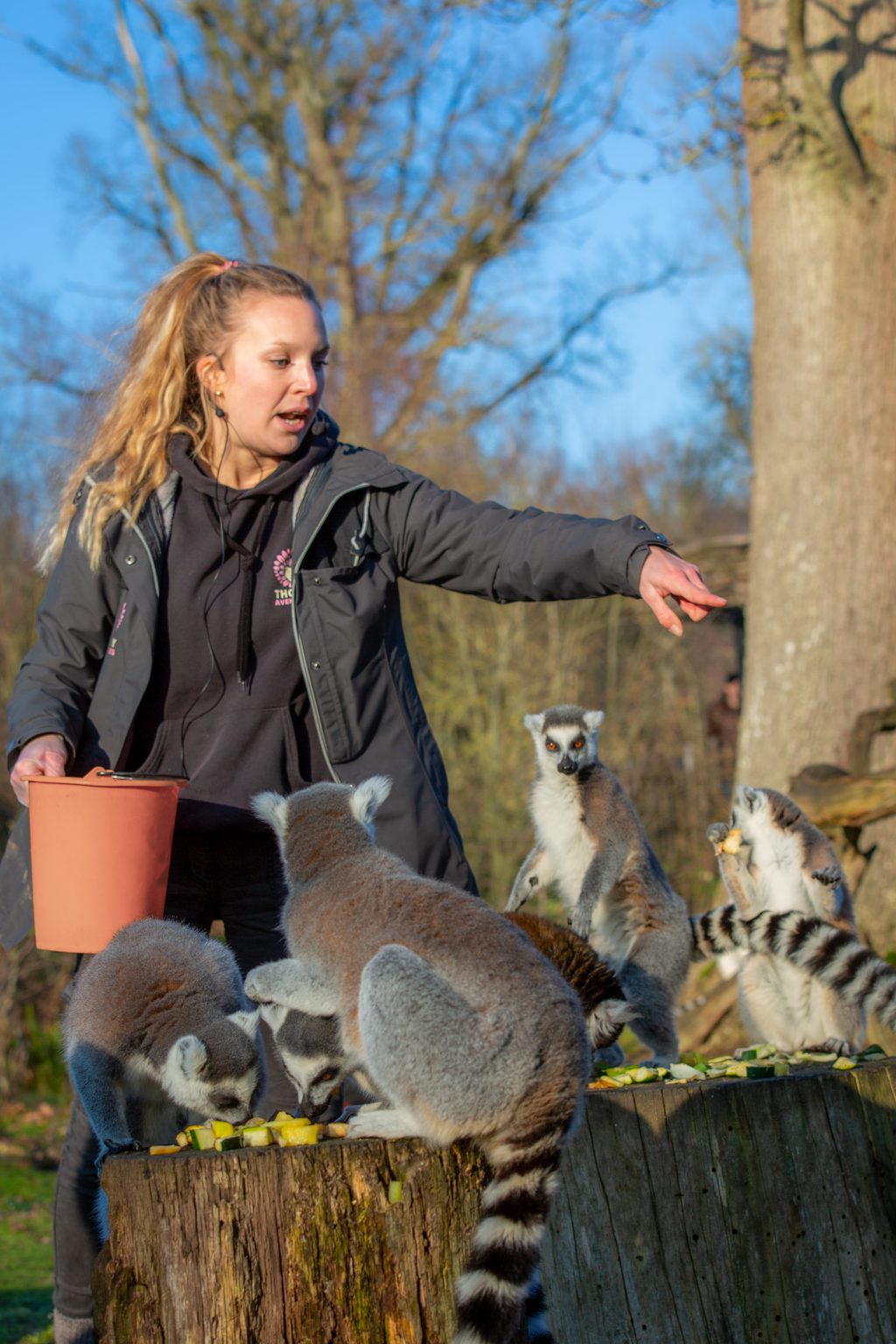 Rendez vous avec les animaux Thoiry Zoo Safari