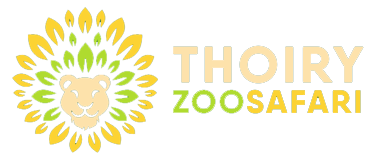 Plongez dans l'univers féérique des Lumières Sauvages au zoo de Thoiry -  Yvelines Infos