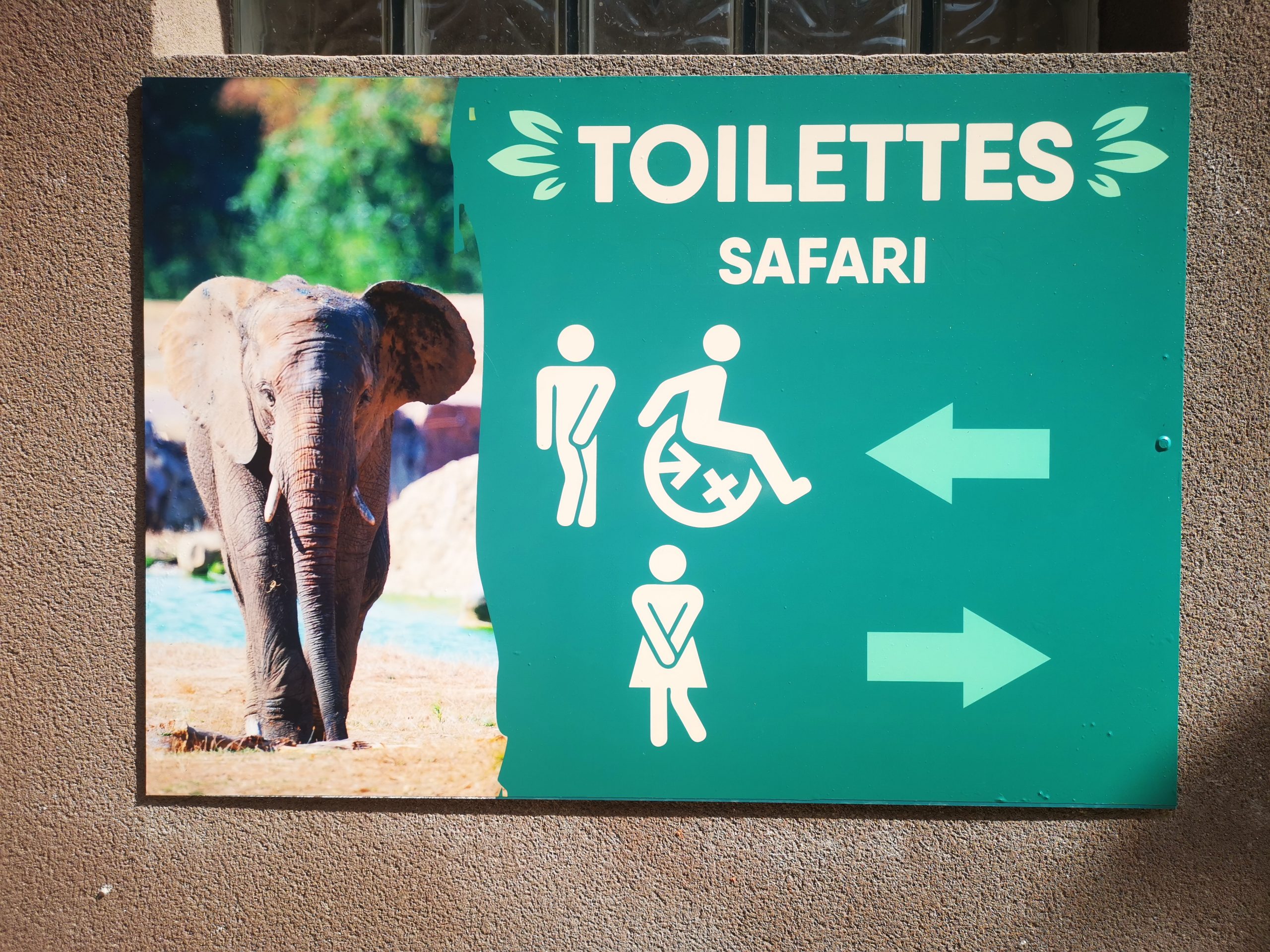 Sanitaire Entrée Safari Thoiry Zoo Safari