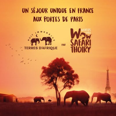 affiche terre d'afrique nuit immersive safari thoiry