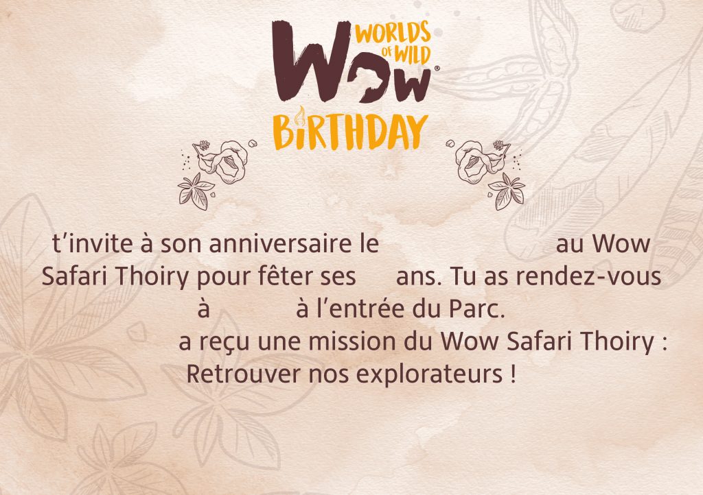 Invitation Wownniversaire