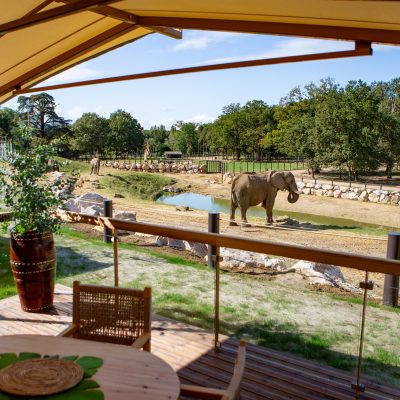 Terrasse lodge éléphants