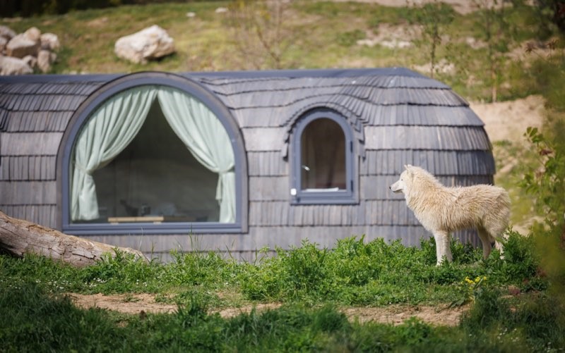 loudges, hebergement immersif sur le territoire des loups