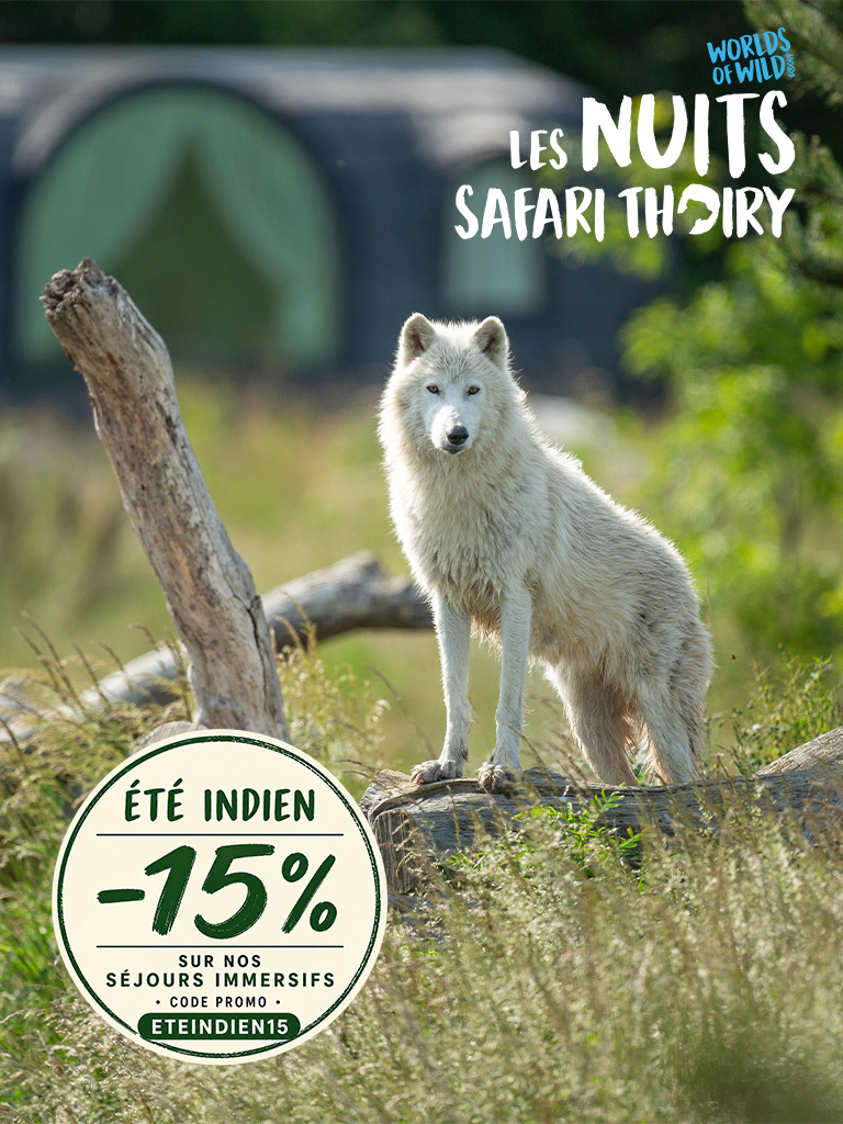 Promotion Hébergement - WOW Safari Thoiry - ETE Indien 2026