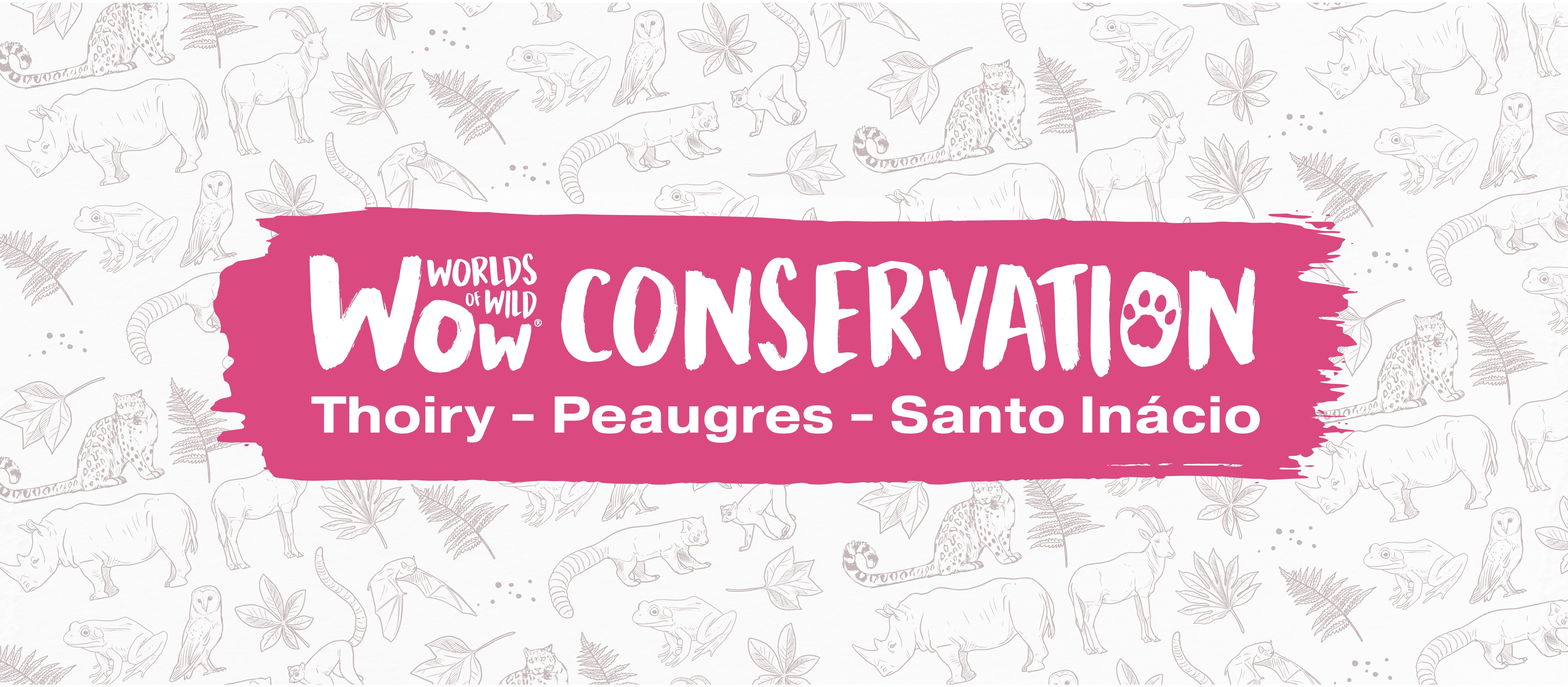 Bannière - WOW Conservation