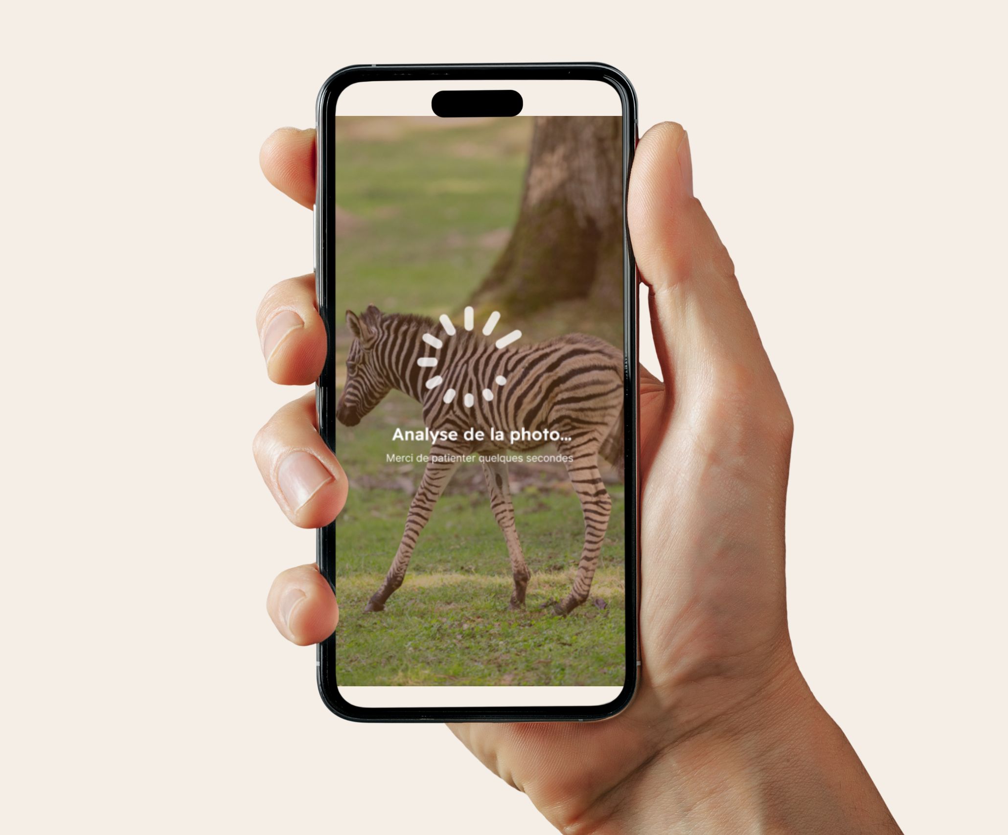 WOW Animal Explorer - Comment ca marche - 2
