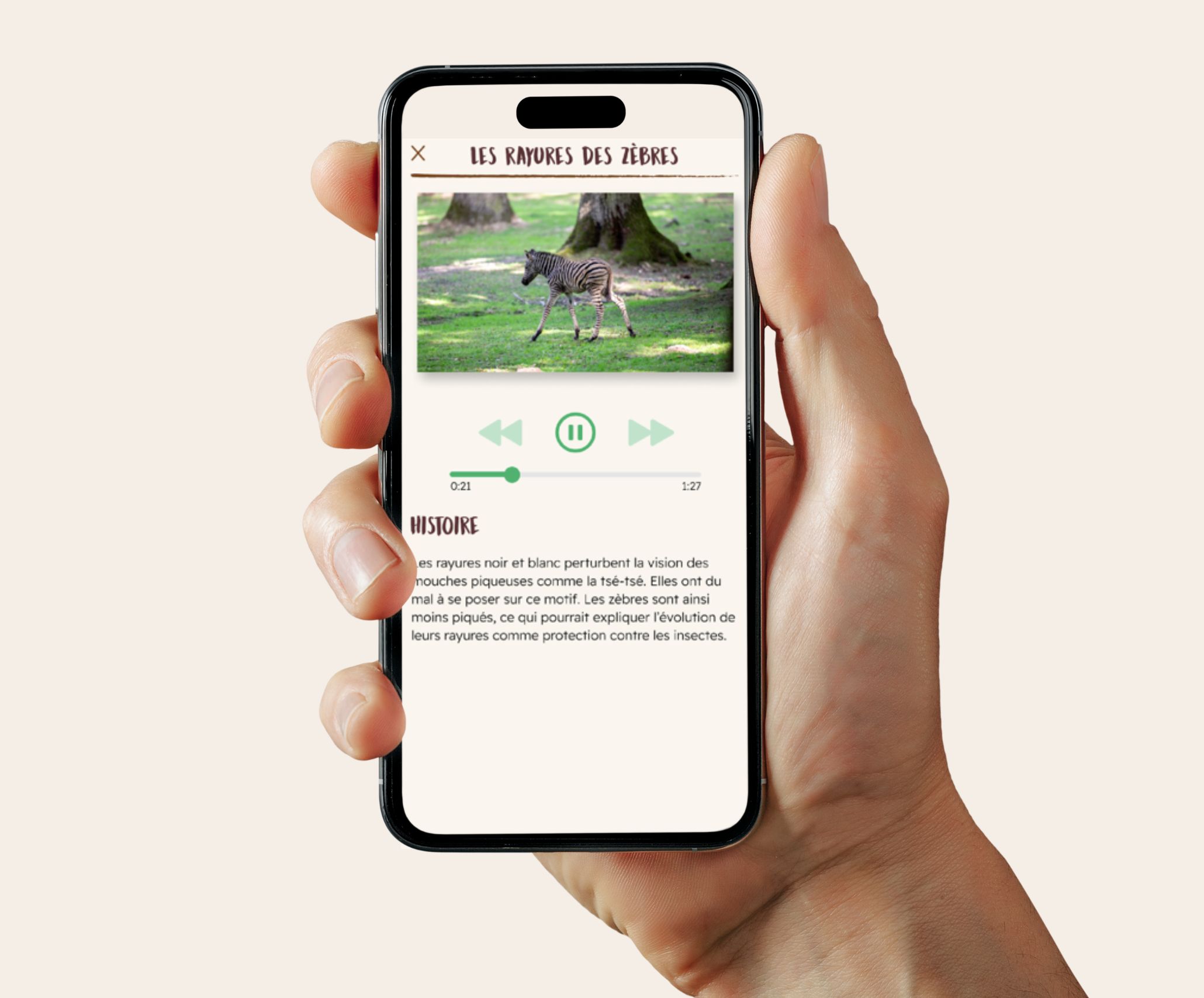 WOW Animal Explorer - Comment ca marche - 3