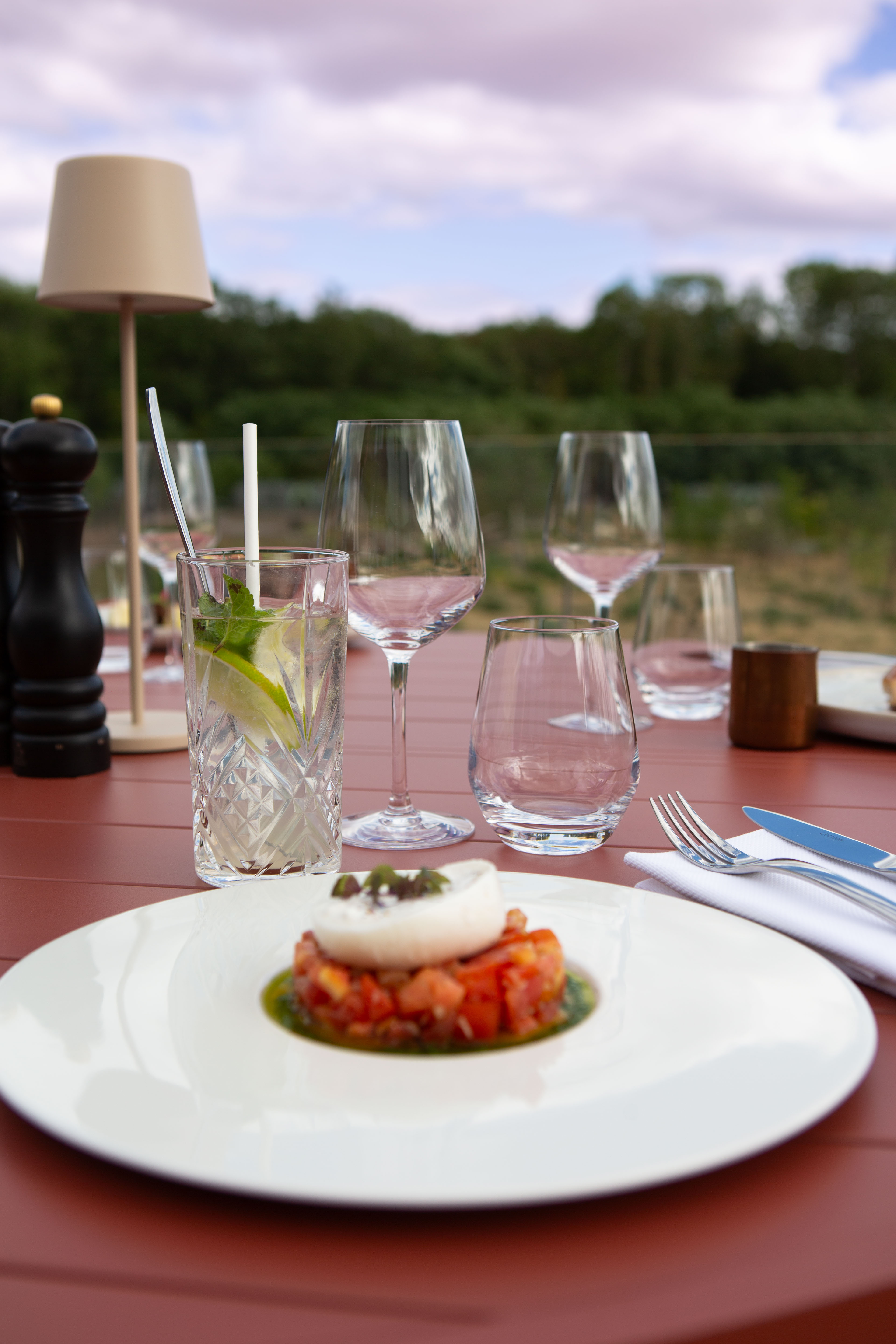 Azimut-Plat en terrasse-LR