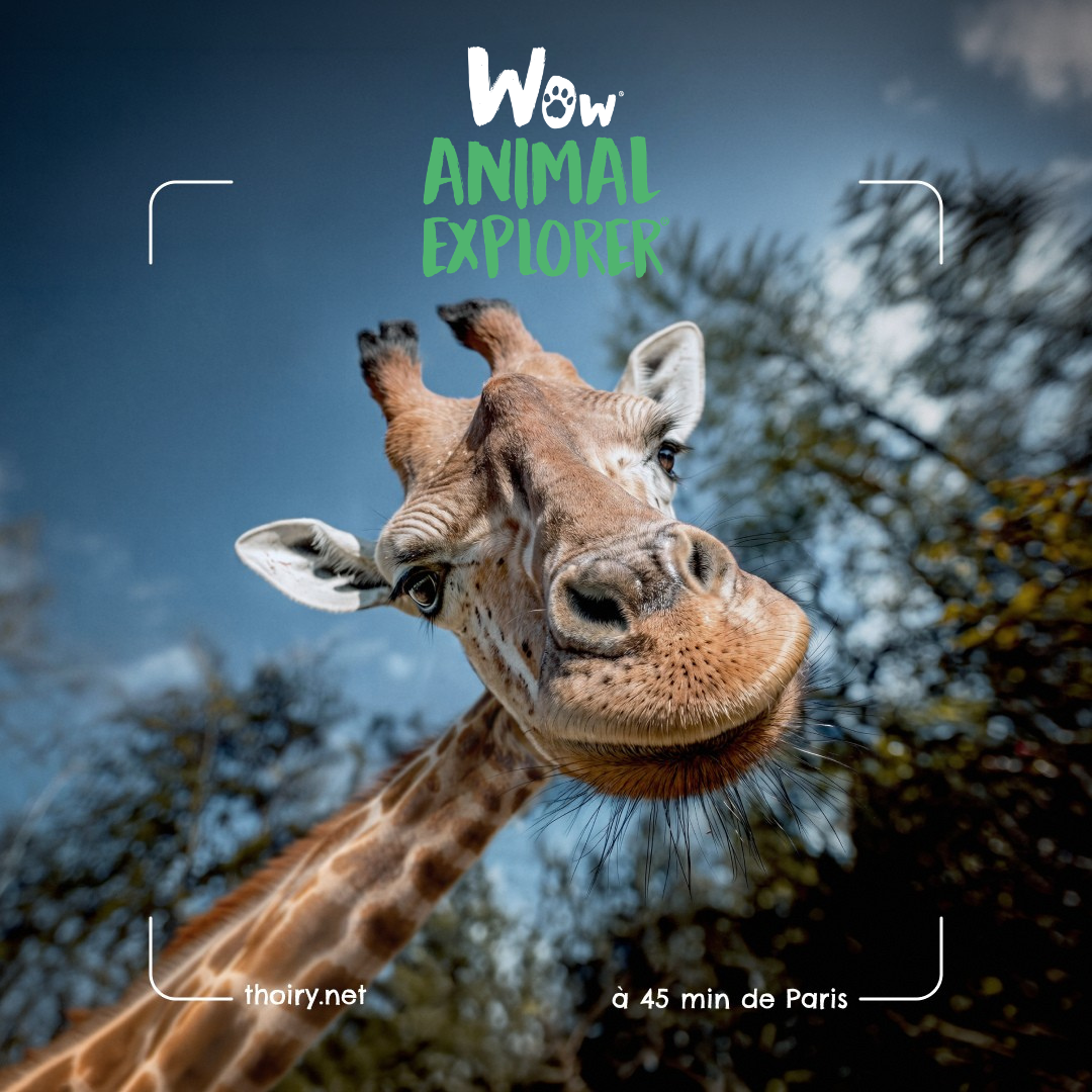 WOW Animal Explorer - Homepage avec logo