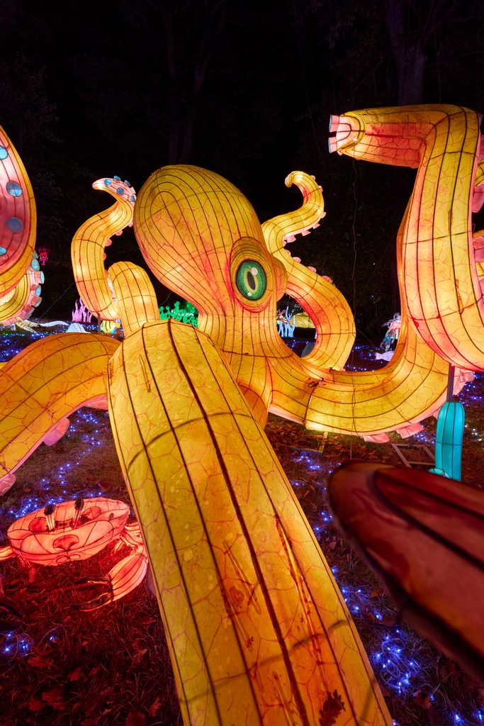 Pieuvre illuminée lors de Thoiry Lumières Sauvages